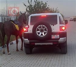 تويوتا إف جي كروزر